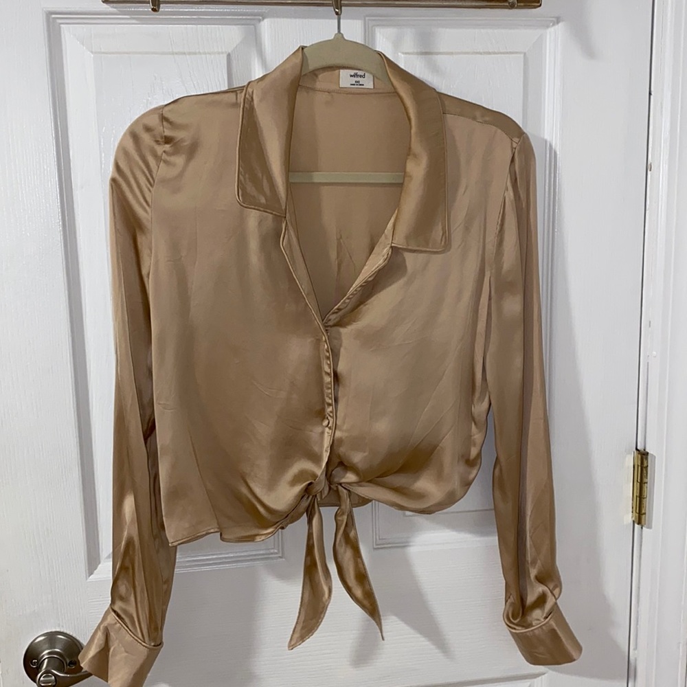 Aritzia Blouse